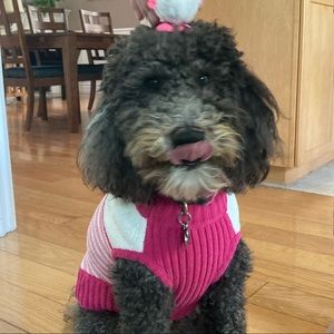 Meet your Posher, Blythe